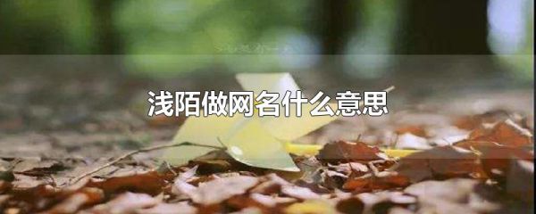 浅陌做网名什么意思