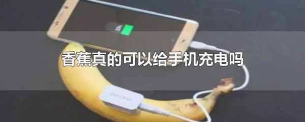 香蕉真的可以给手机充电吗