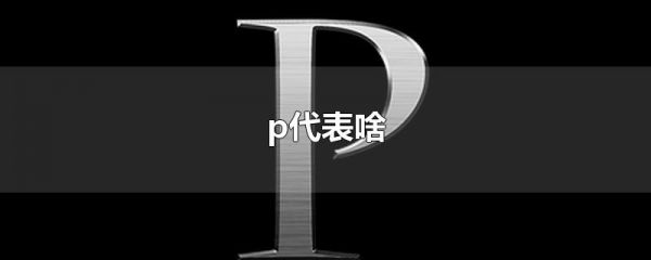 p代表啥