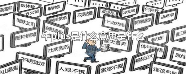 牛plus是什么意思是什么