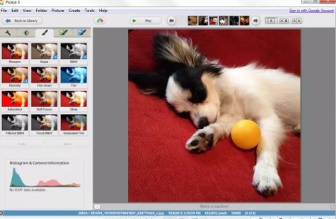 Google Picasa 3.9 中文版