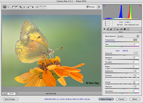 Adobe Camera Raw 11.3