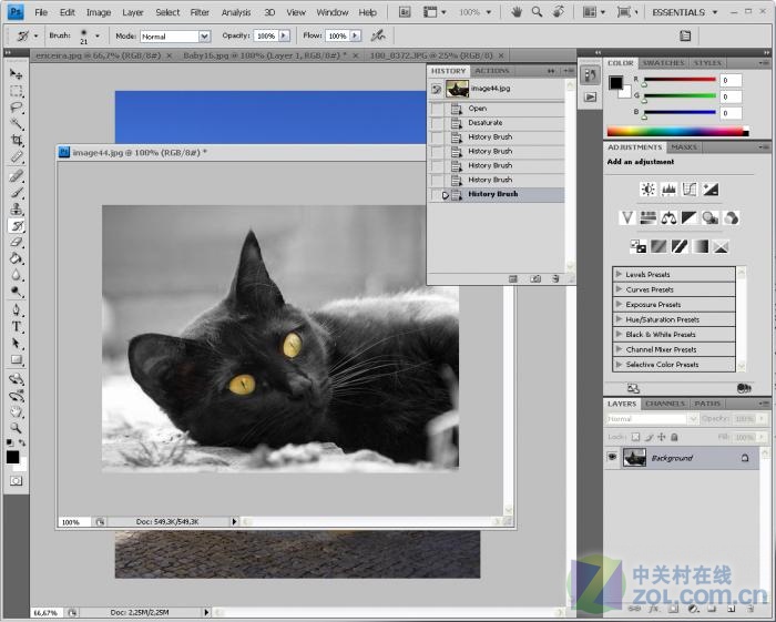 Adobe Photoshop CS5 中文免费版软件截图（8）