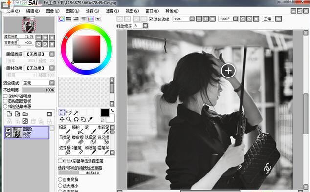 Easy Paint Tool SAI 2.0软件截图（4）