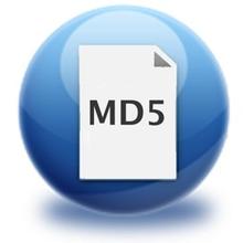 随风MD5加解密工具 1.0绿色版